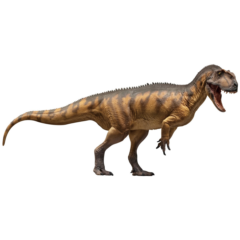 PNSO Yangchuanosaurus & Chungkinggosaurus 301007