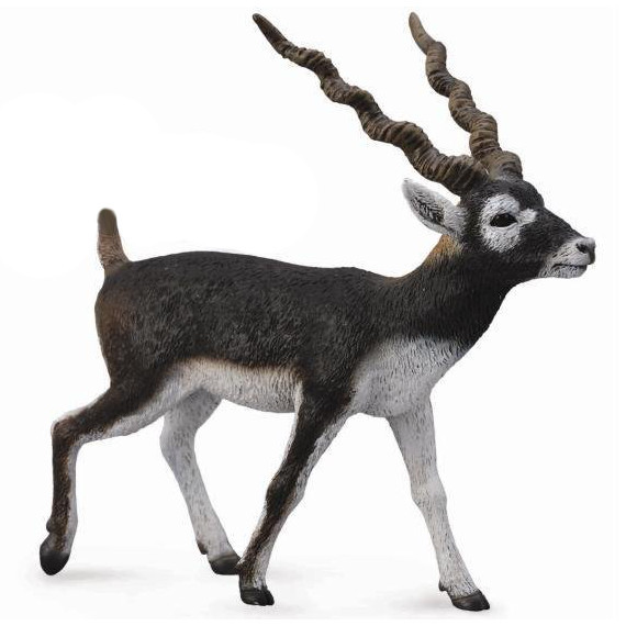 Collecta Antilope 'Sable' – Naturgetreue Spielzeugfigur, Handbemalt – Ideal Für Sammler & Kinder