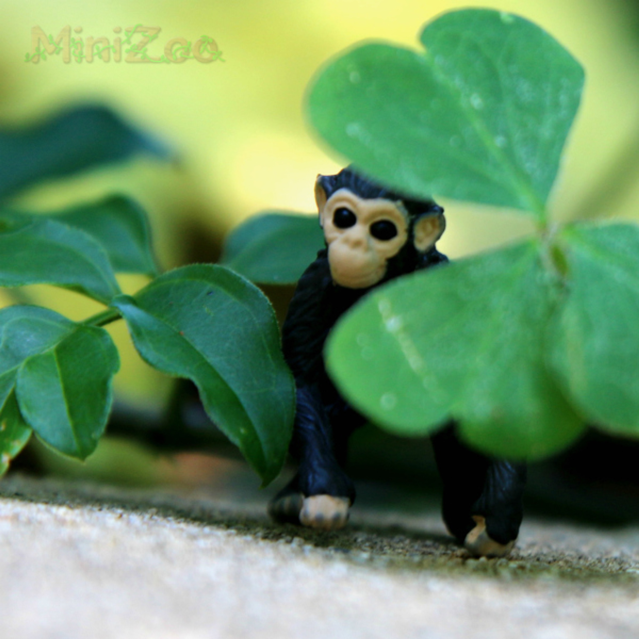 safari ltd mini chimps