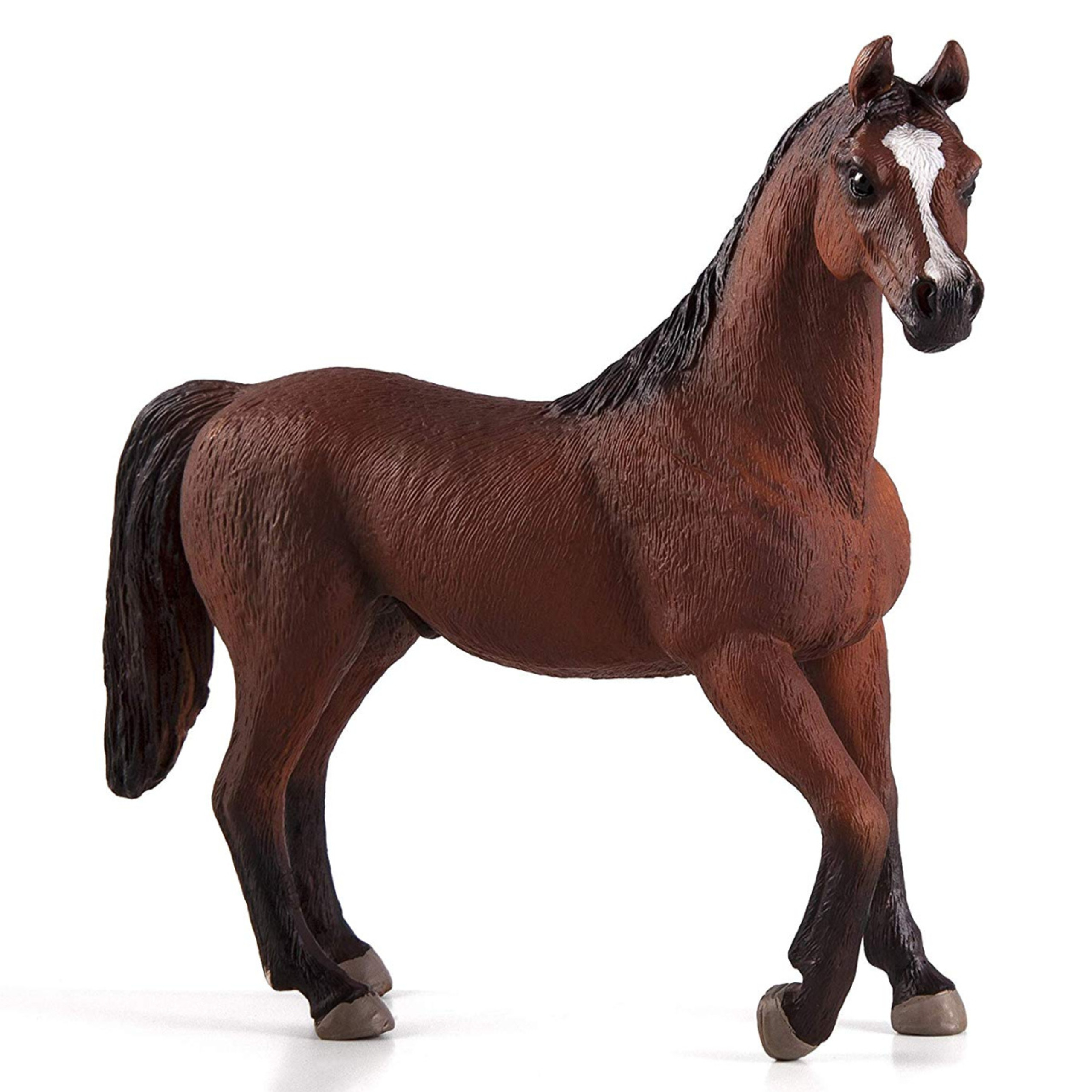 Schleich Arabian Stallion MiniZoo Schleich 2024 Horse Club