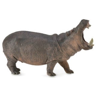 CollectA Pygmy Hippopotamus 88686 | Wild Life