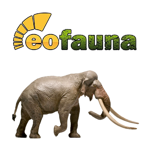 Eofauna