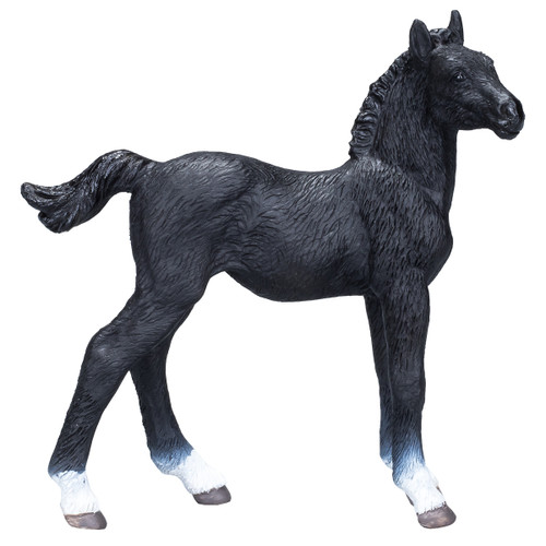 Mojo Hanoverian Foal Black