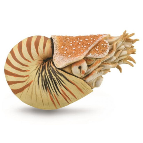CollectA Nautilus Pompilius 88907