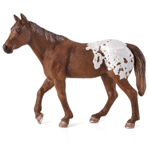 Mojo Appaloosa Stallion Chestnut