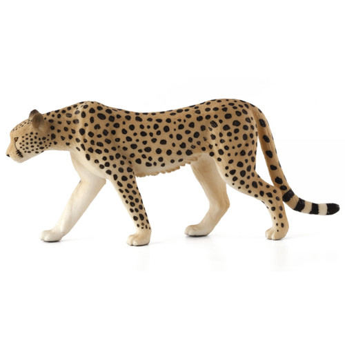  Mojo Cheetah Male