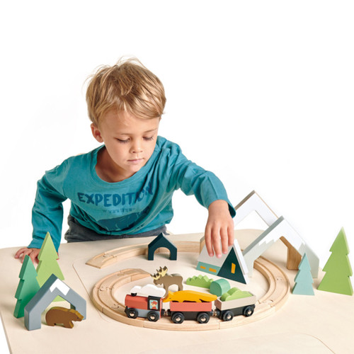 Boy playing with Tender Leaf Toys Treetops Train Set on table
