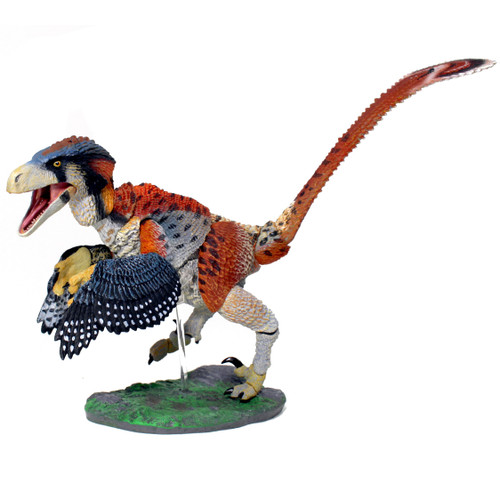 Dromeaosaurus Albertensis (Fans Choice) Series 2