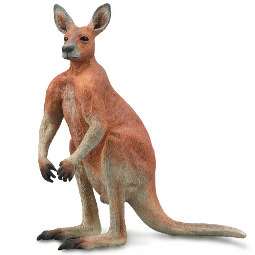 CollectA Kangaroo Male