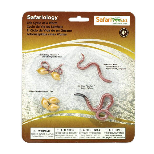Safari Life Cycle of a Worm in packet