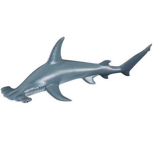 CollectA Scalloped Hammerhead Shark