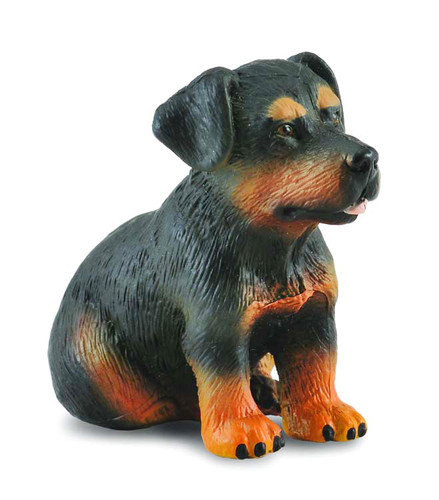 CollectA Rottweiler Puppy