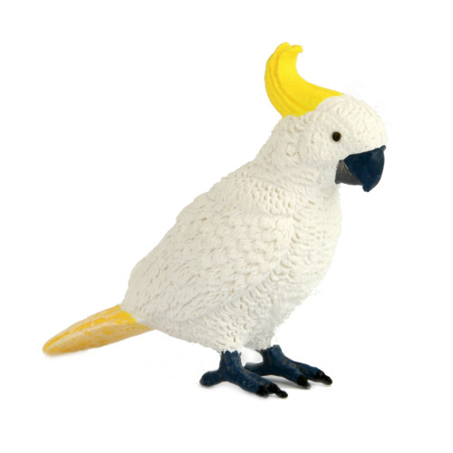 Small Cockatoo