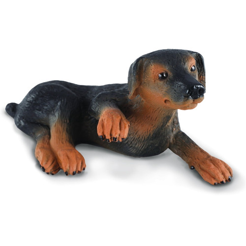 CollectA Doberman Pinscher Puppy