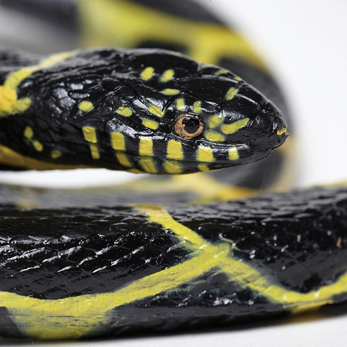Safari Ltd Chain Kingsnake IC