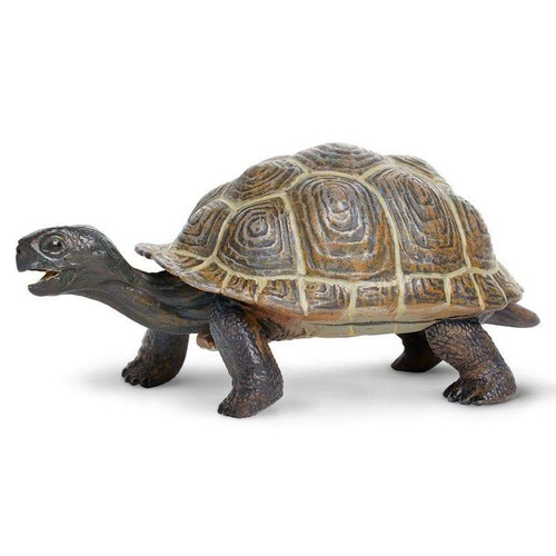 Safari Ltd Tortoise Baby IC