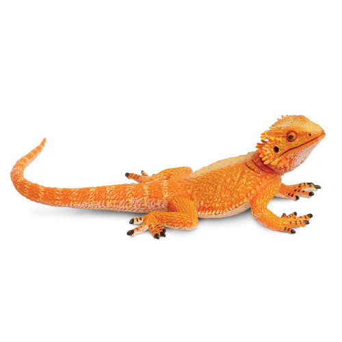 Safari Ltd Bearded Dragon IC