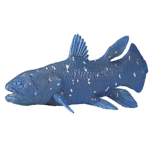 coelacanth toy