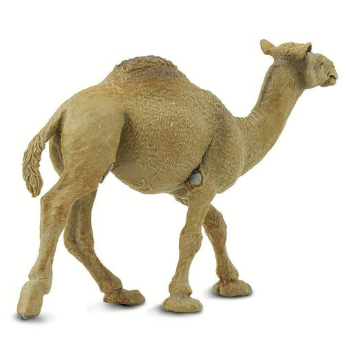 Safari Ltd Dromedary Camel