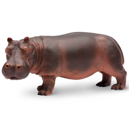 CollectA Hippopotamus 88833 CollectA Australia