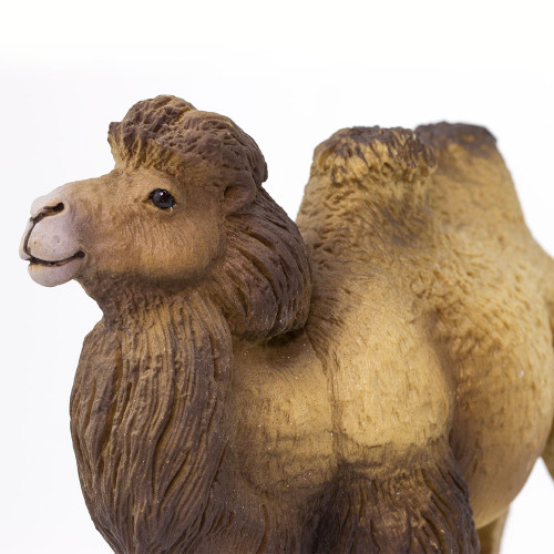 Safari Ltd Bactrian Camel
