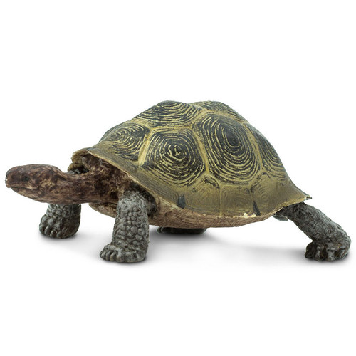 Safari Ltd Desert Tortoise