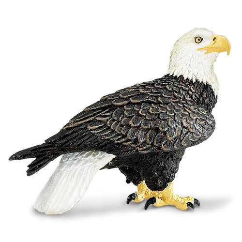 Safari Ltd Bald Eagle