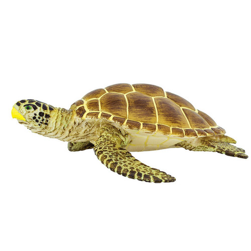 Safari Ltd Loggerhead Turtle