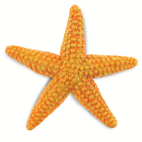 Safari Ltd Orange Starfish