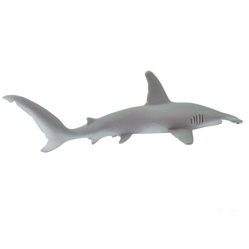 Safari Ltd Hammerhead Shark Monterey Bay Aquarium