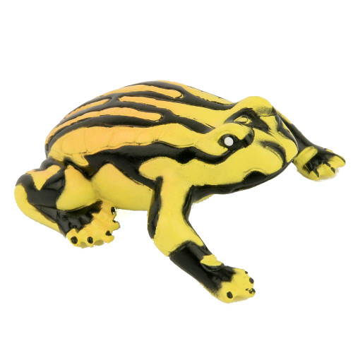Small Corroboree Frog