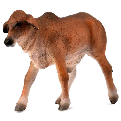 CollectA Brahman Calf Red