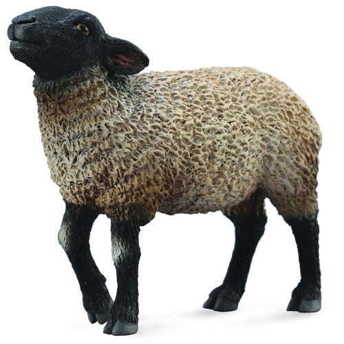 CollectA Suffolk Black faced Sheep