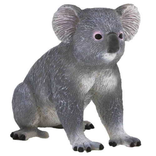 Mojo Koala