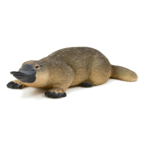 Mojo Platypus