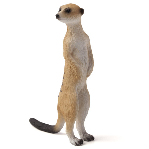 Mojo Meerkat
