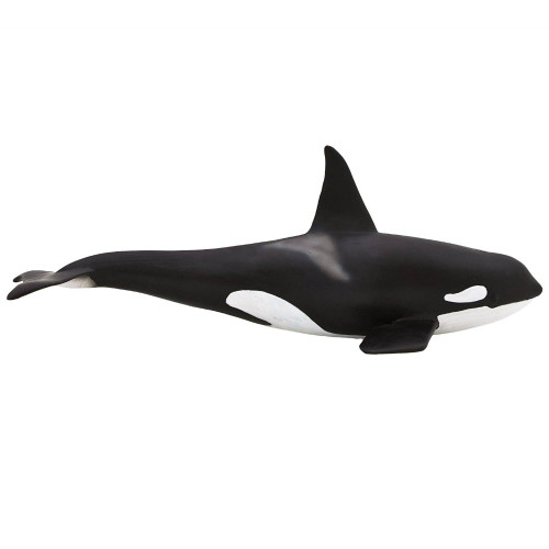 Mojo Killer Whale