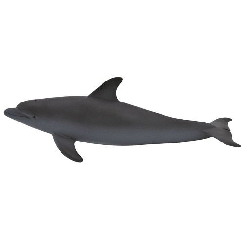 Mojo Dolphin
