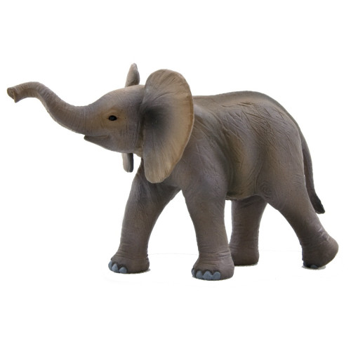 Mojo African Elephant Calf