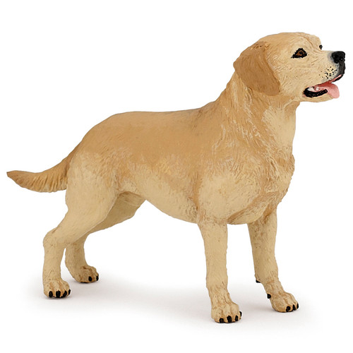 Papo Labrador