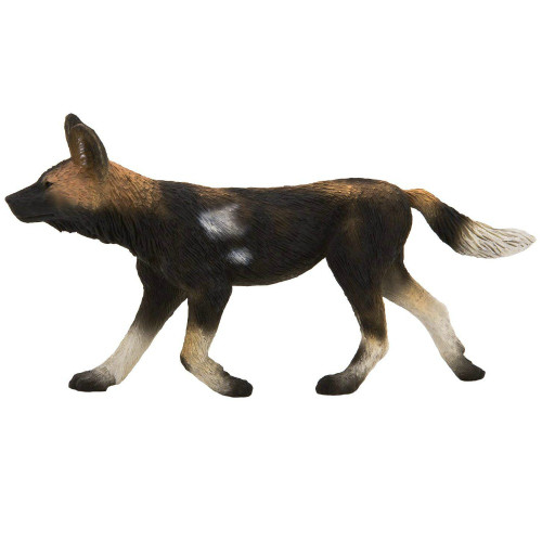 Mojo African Painted Dog