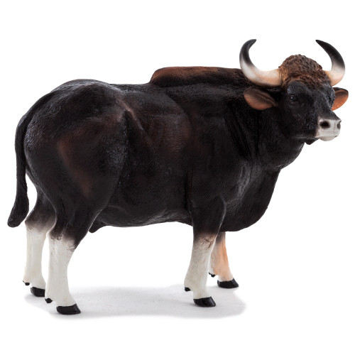 Mojo Gaur Bull