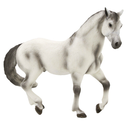 Mojo Andalusian Grey