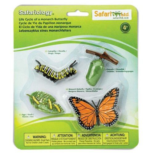 Safari Ltd Life Cycle of a Monarch Butterfly