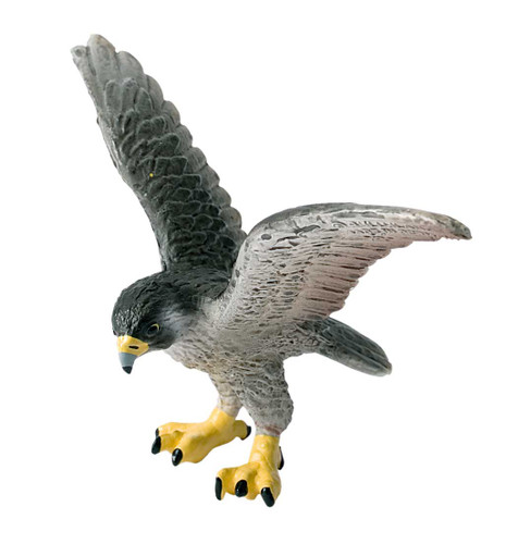 Peregrine