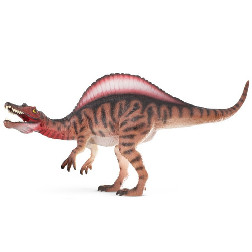 Spinosaurus Museum Line