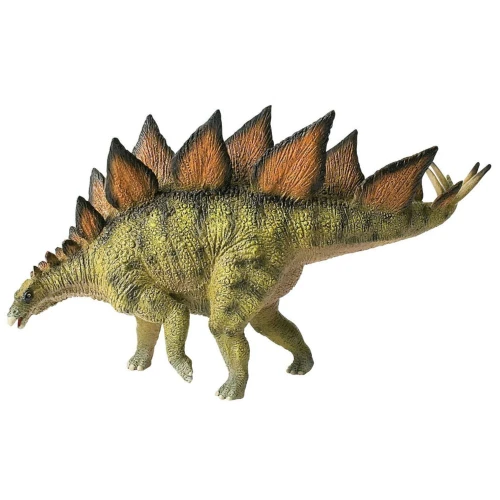 Stegosaurus Museum Line