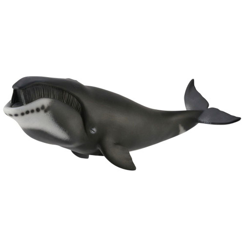 CollectA Bowhead Whale