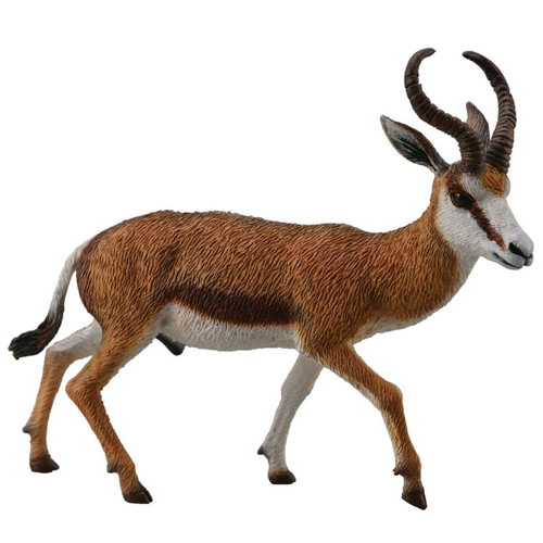CollectA Springbok