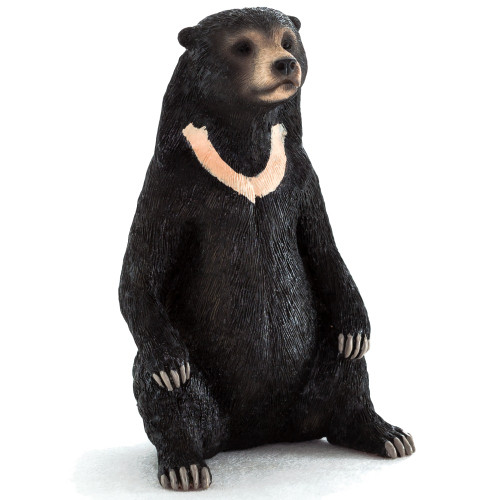 Mojo Sun Bear